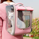 Pet Carrier Outdoor Backpack