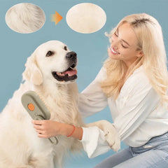 3-in-1 Pet Steam Brush sitodo