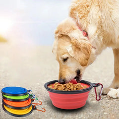 350ml Pet Silicone Collapsible Container sitodo