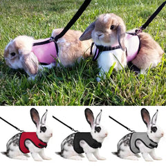 Adjustable Pet Harness and Leash Set sitodo