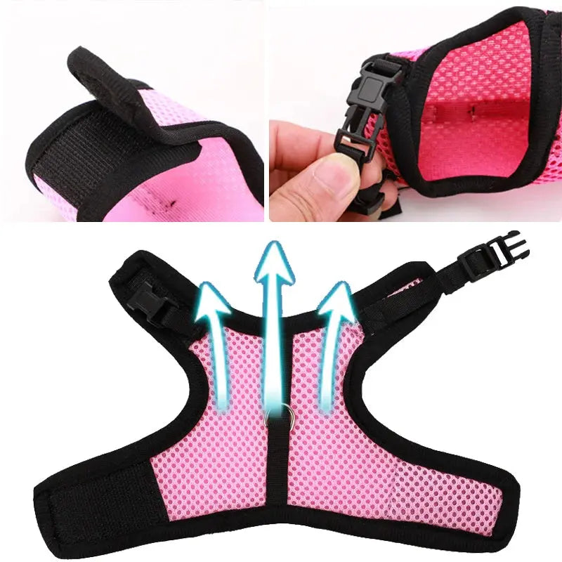 Adjustable Pet Harness and Leash Set sitodo