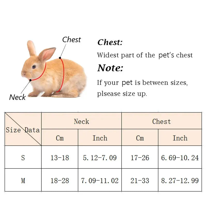 Cartoon Rabbit Harness and Leash Set sitodo