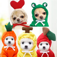 Cute Fruit Hoodies for Dogs sitodo