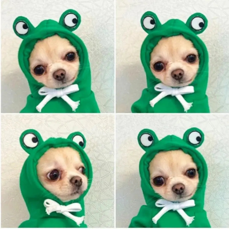 Cute Fruit Hoodies for Dogs sitodo