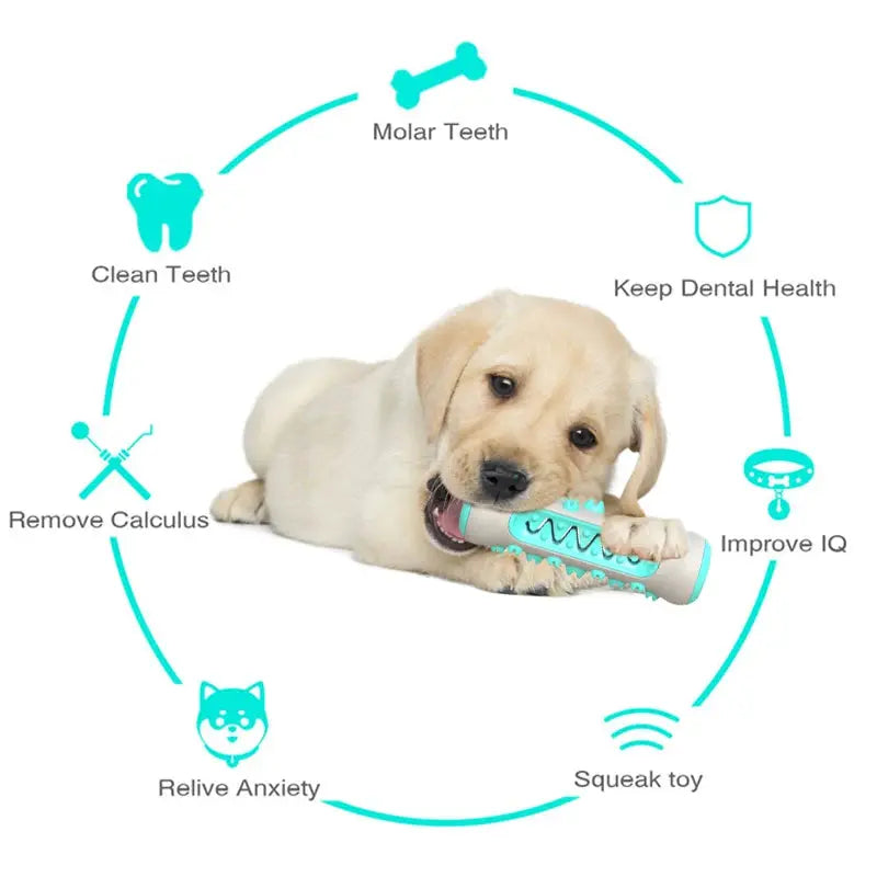 Dog Molar Toothbrush Toy sitodo