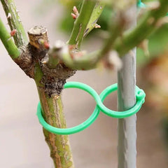 Garden Vine Strapping Clips - Sitodo