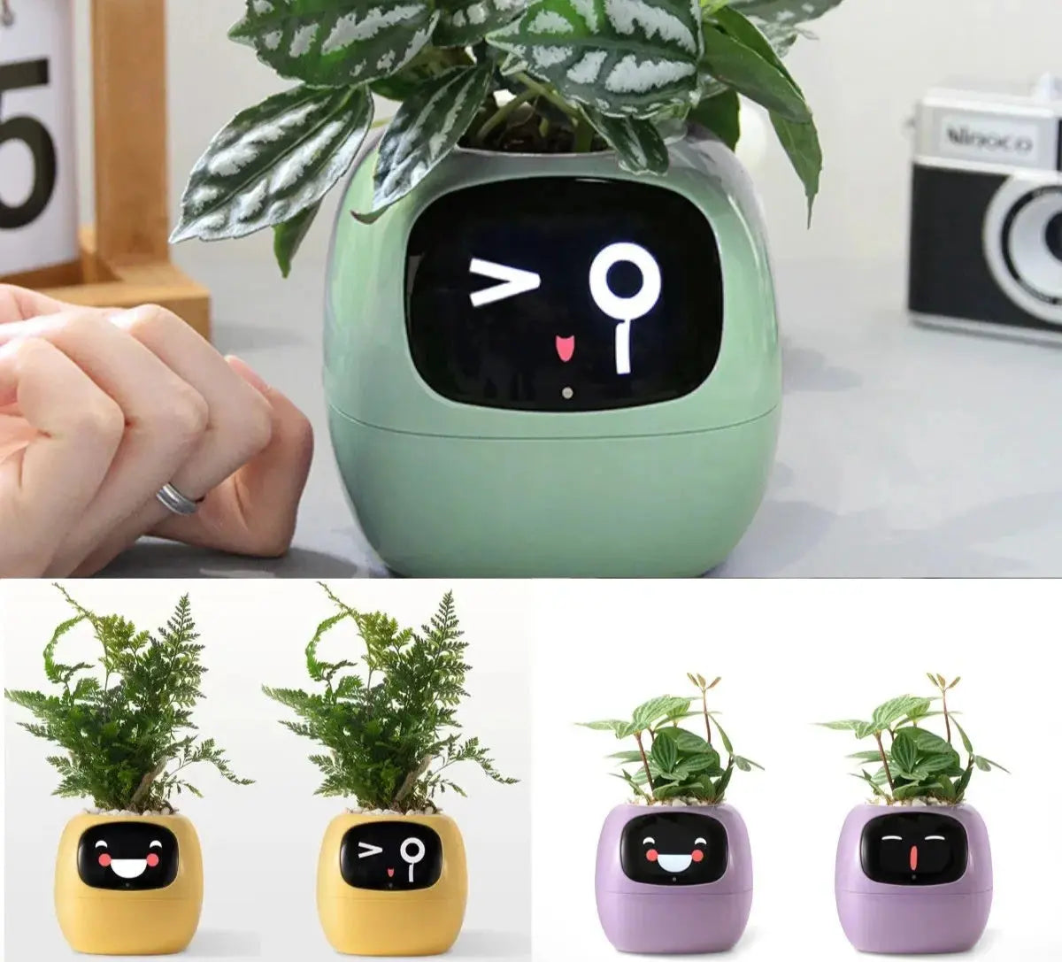 Ivy Smart Planter - Sitodo