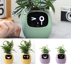 Ivy Smart Planter - Sitodo