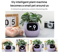 Ivy Smart Planter - Sitodo