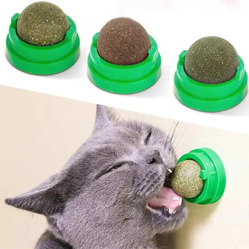 Natural Catnip Cat Wall Stick-on Ball Toy sitodo