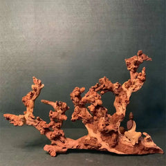 Natural Coral Driftwood sitodo