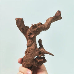 Natural Coral Driftwood sitodo