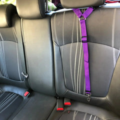 Pet Dog Adjustable Car Seat Belt & Leash sitodo