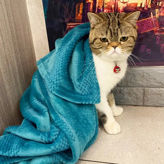 Pet Fluffy Towel Blanket sitodo