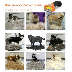 Pet Hair Removal Brush sitodo