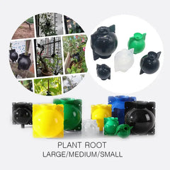 Propagation Plant Rooting Box - Sitodo