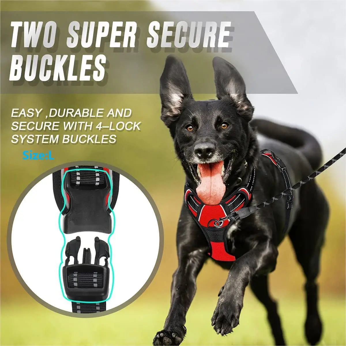 No Pull Heavy Duty Dog Harness