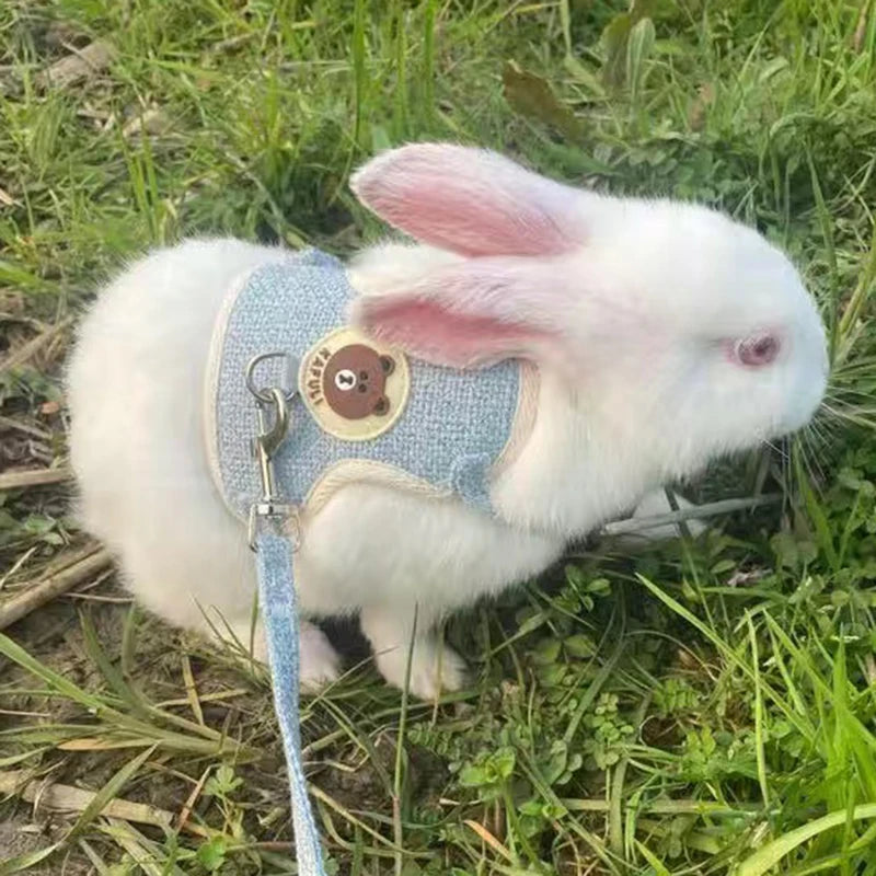 Adorable Rabbit Harness and Leash Set