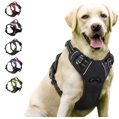 No Pull Heavy Duty Dog Harness