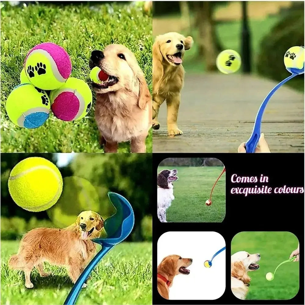 Pet Hand Throwing Ball Toy