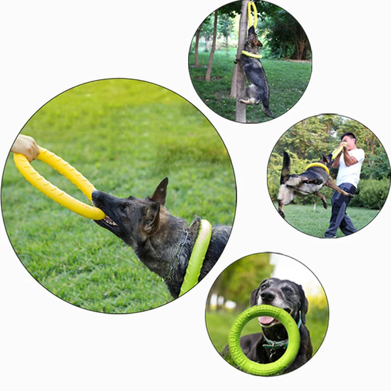 Pet Anti-Bite Training Ring