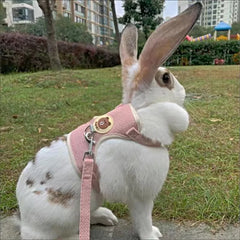 Adorable Rabbit Harness and Leash Set