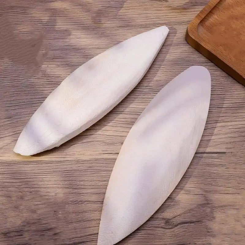 Natural Cuttlefish Bone for Snails