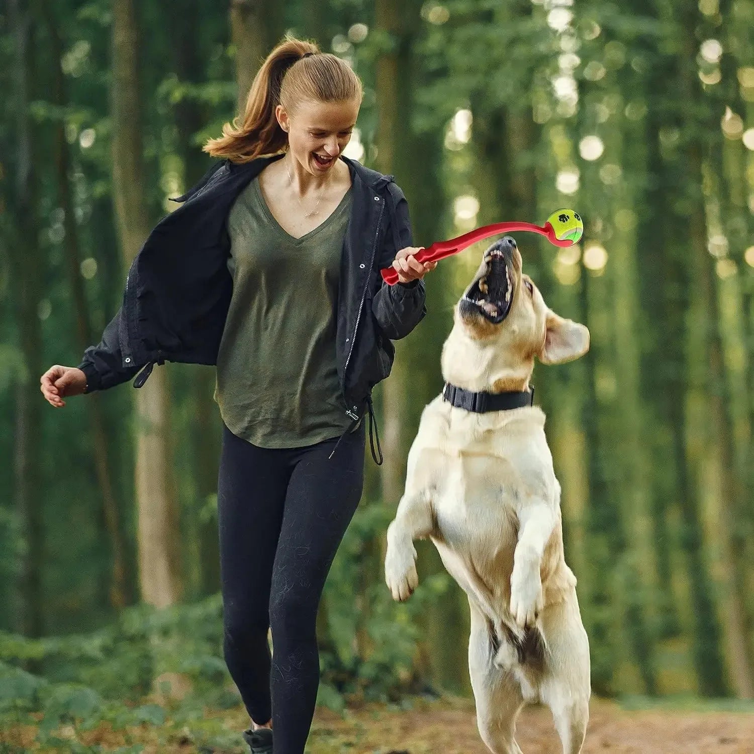 Pet Hand Throwing Ball Toy