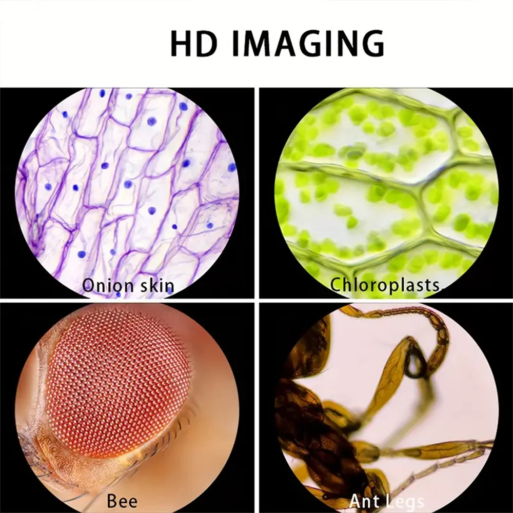 Battery Powered Handheld Microscope