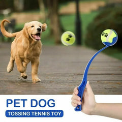 Pet Hand Throwing Ball Toy