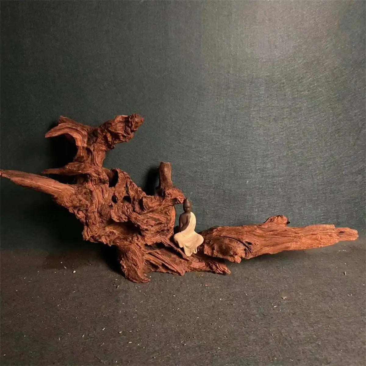 Natural Coral Driftwood