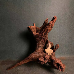 Natural Coral Driftwood