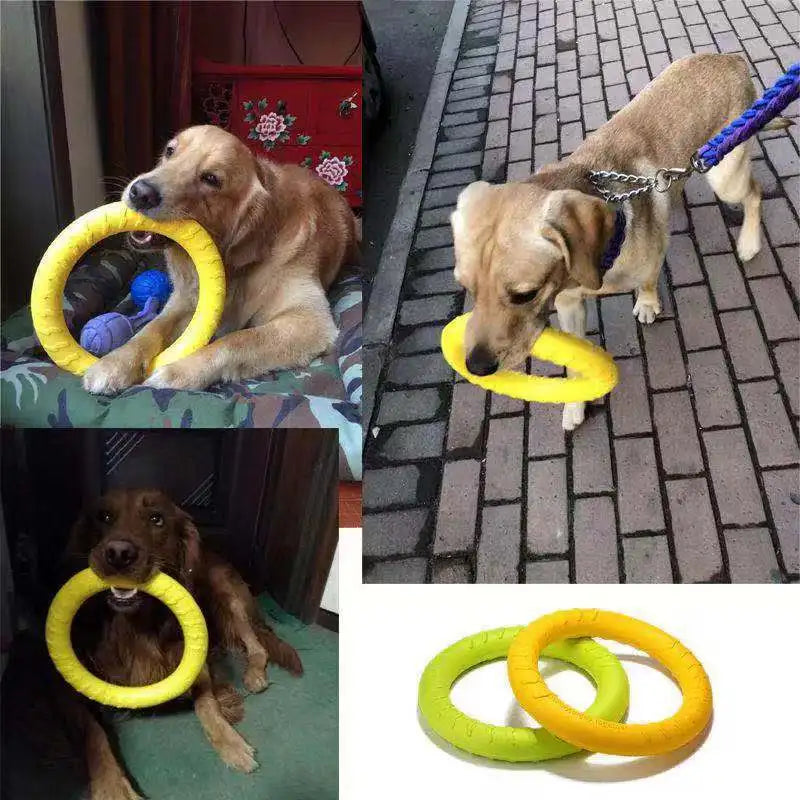 Pet Anti-Bite Training Ring