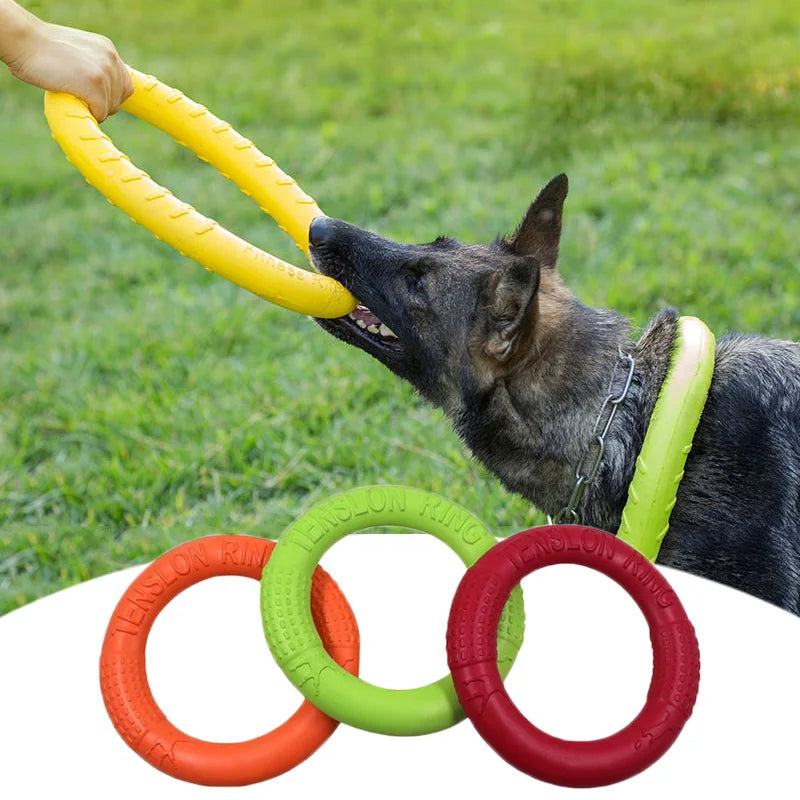 Pet Anti-Bite Training Ring