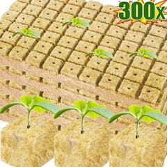 Stonewool Hydroponic Grow Media Cubes - Sitodo