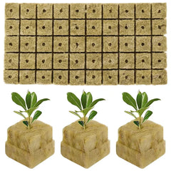 Stonewool Hydroponic Grow Media Cubes - Sitodo