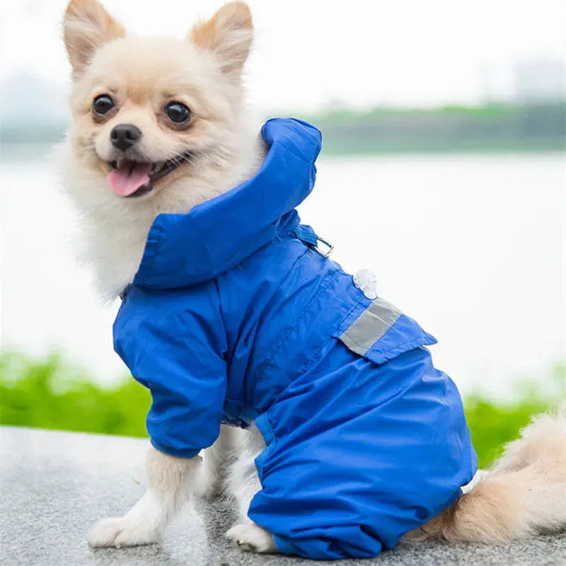 Stylish and Functional Pet Hooded Raincoat sitodo