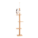 Livraison domestique hauteur 238-274 cm arbre à chat Condo griffoir sol au plafond réglable chat griffoir protégeant les meubles